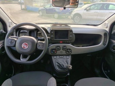 Fiat Panda 1.0 firefly hybrid s&s 70cv 5p.ti (9)