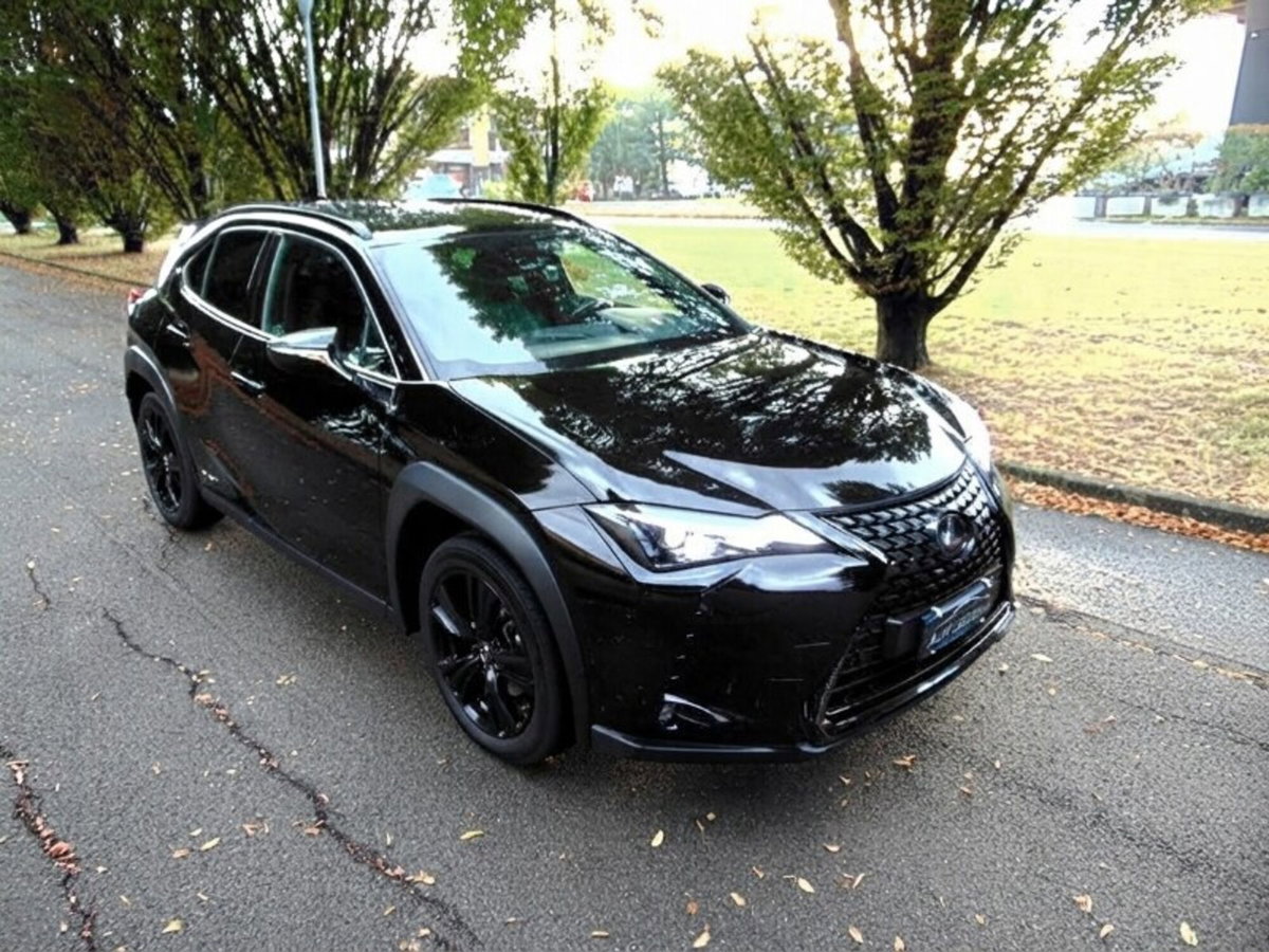 Lexus UX Hybrid Midnight (14)