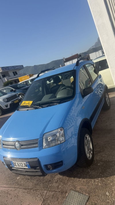Fiat Panda 1.3 MJT 16V 4x4 (3)