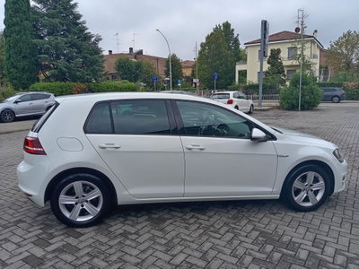 Volkswagen Golf 1.4 TGI DSG 5p. Highline BlueMotion (11)