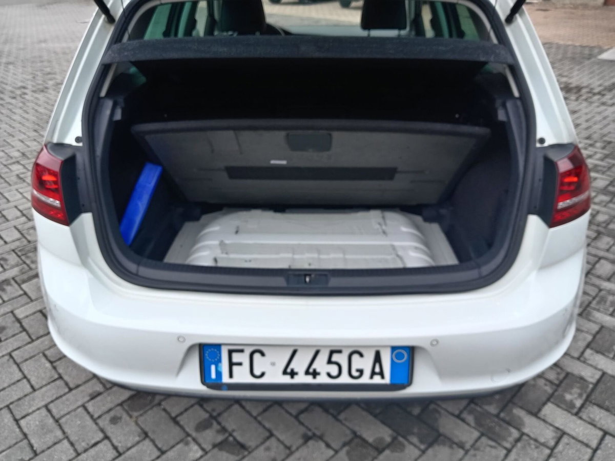 Volkswagen Golf 1.4 TGI DSG 5p. Highline BlueMotion (14)