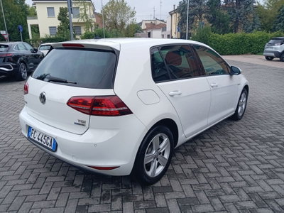 Volkswagen Golf 1.4 TGI DSG 5p. Highline BlueMotion (15)
