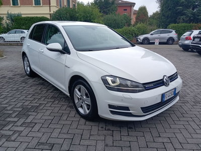Volkswagen Golf 1.4 TGI DSG 5p. Highline BlueMotion (6)