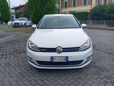 Volkswagen Golf 1.4 TGI DSG 5p. Highline BlueMotion (7)