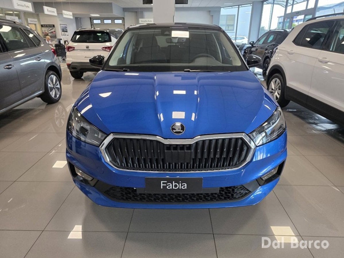 Skoda Fabia 1.0 tsi Be More 115cv dsg (2)