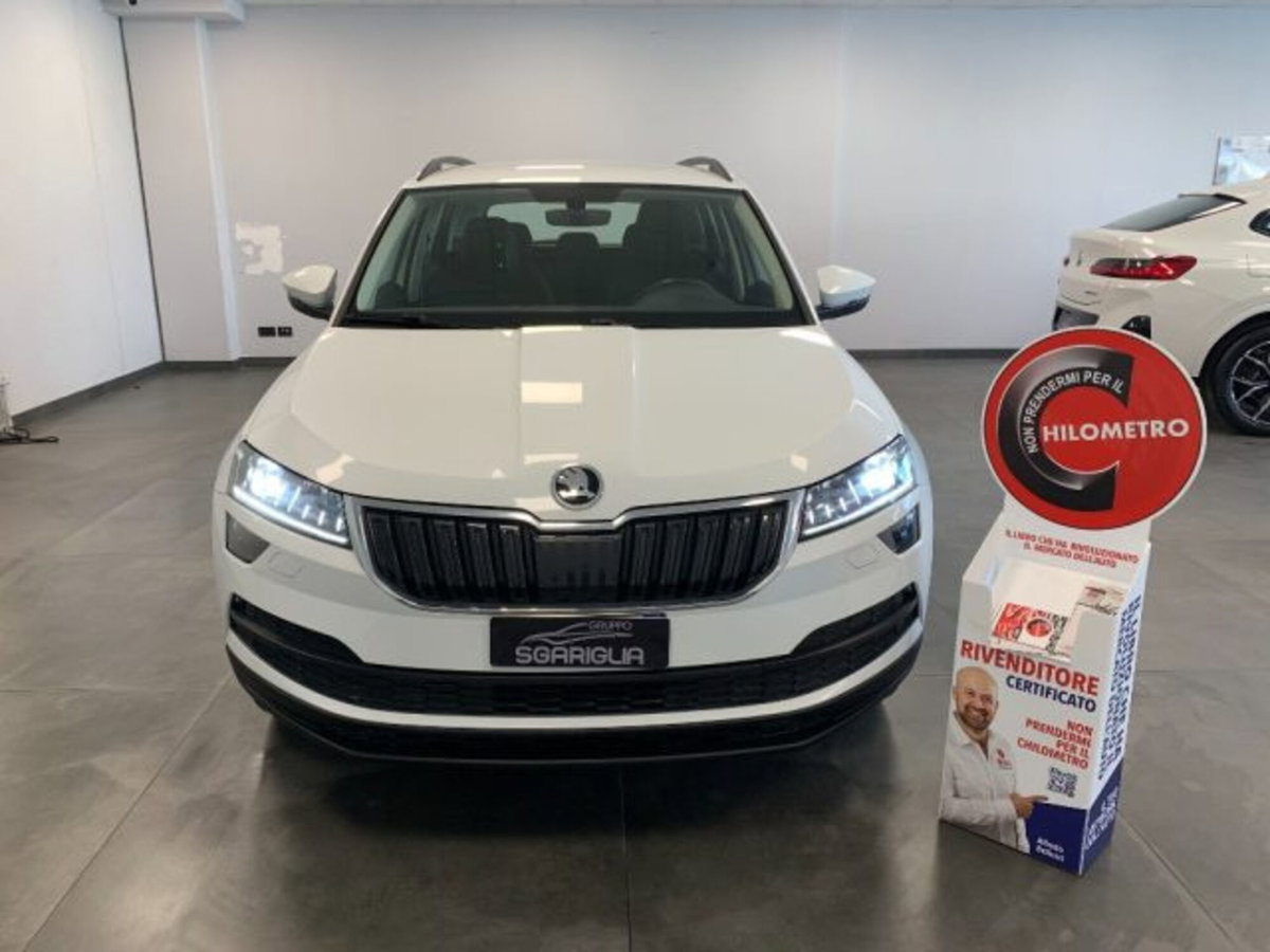 Skoda Karoq 2.0 tdi Executive 115cv (2)