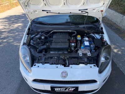 Fiat Punto Evo 1.4 3 porte Active EasyPower (18)