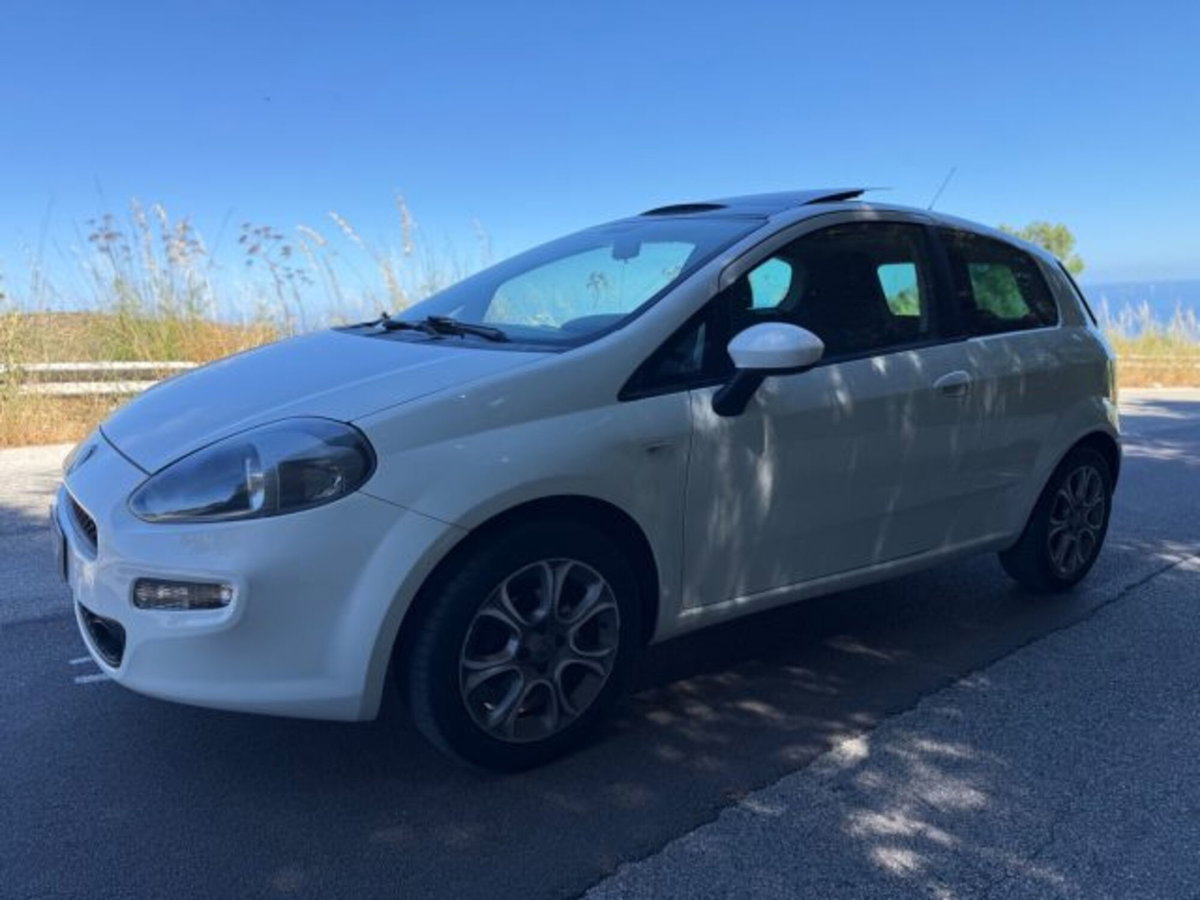 Fiat Punto Evo 1.4 3 porte Active EasyPower (4)