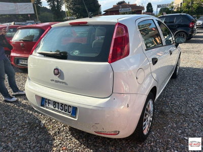 Fiat Punto 1.2 8V 5 porte Street (4)