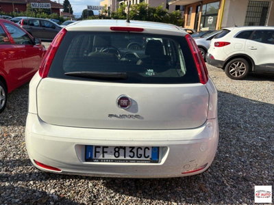Fiat Punto 1.2 8V 5 porte Street (5)