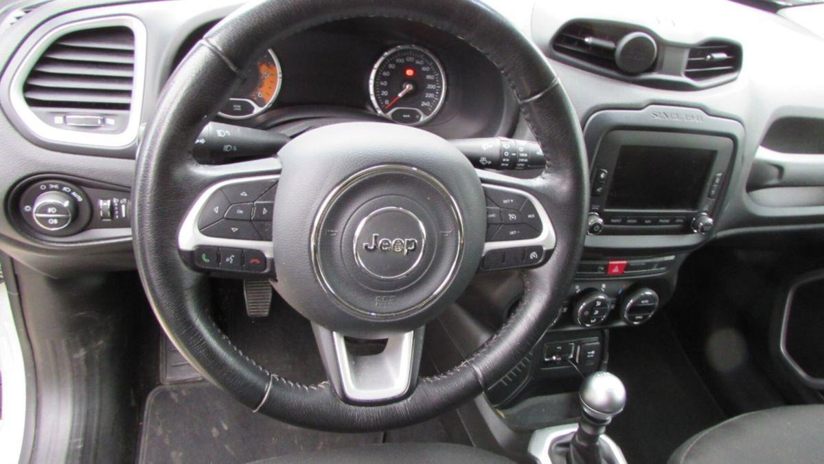 Jeep Renegade 1.6 Mjt 120 CV Limited (10)