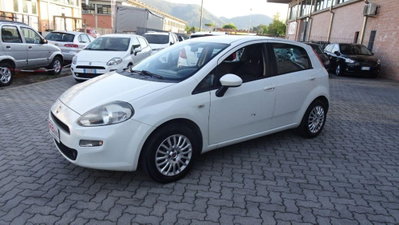 Fiat Punto 1.3 MJT 85CV S&S 5 porte Van Easy 4 posti E5+ (8)
