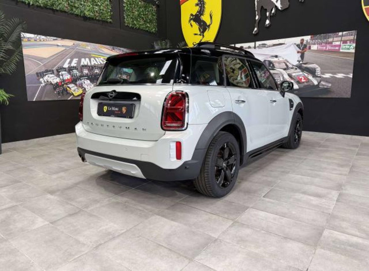 MINI Mini Countryman 1.5 Cooper Northwood Edition Countryman (5)