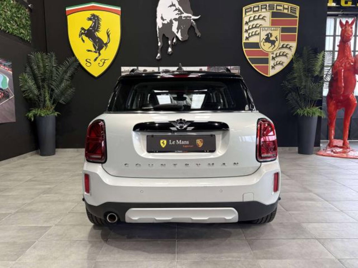 MINI Mini Countryman 1.5 Cooper Northwood Edition Countryman (6)