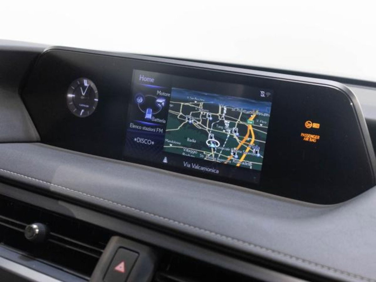 Lexus UX Hybrid 4WD Premium (14)