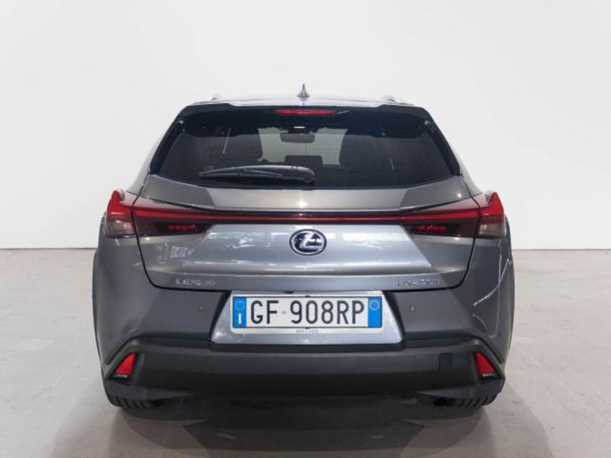 Lexus UX Hybrid 4WD Premium (6)