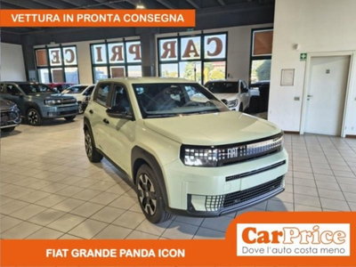 Fiat Grande Panda 1.2 Icon 100cv (9)