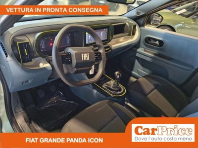 Fiat Grande Panda 1.2 Icon 100cv (12)