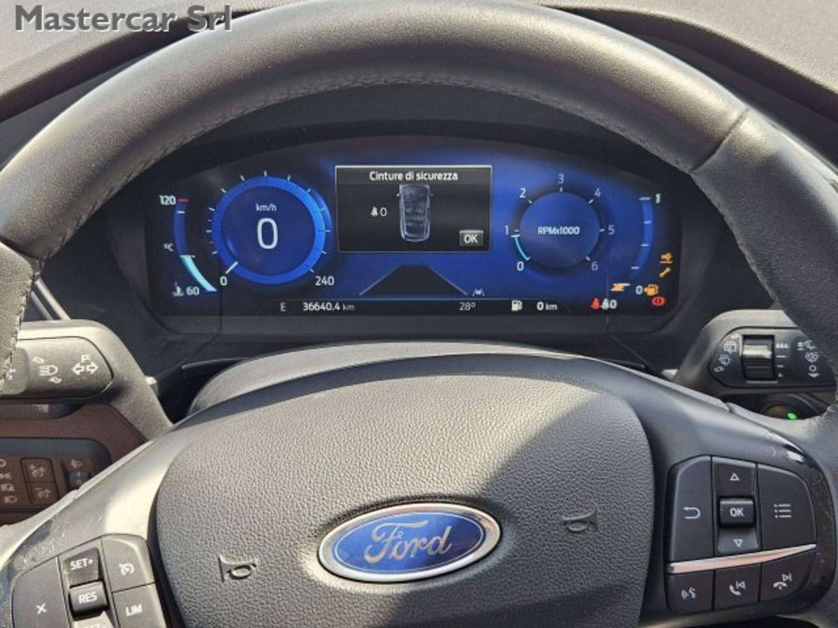 Ford Kuga 2.0 EcoBlue Hybrid 150 CV 2WD Titanium (12)