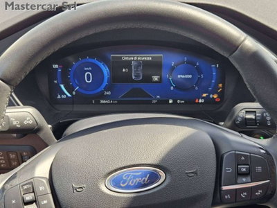 Ford Kuga 2.0 EcoBlue Hybrid 150 CV 2WD Titanium (12)