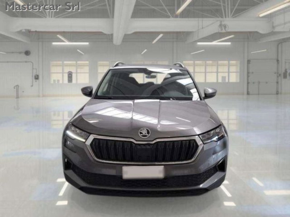 Skoda Karoq 2.0 TDI EVO SCR 115 CV DSG Executive (3)