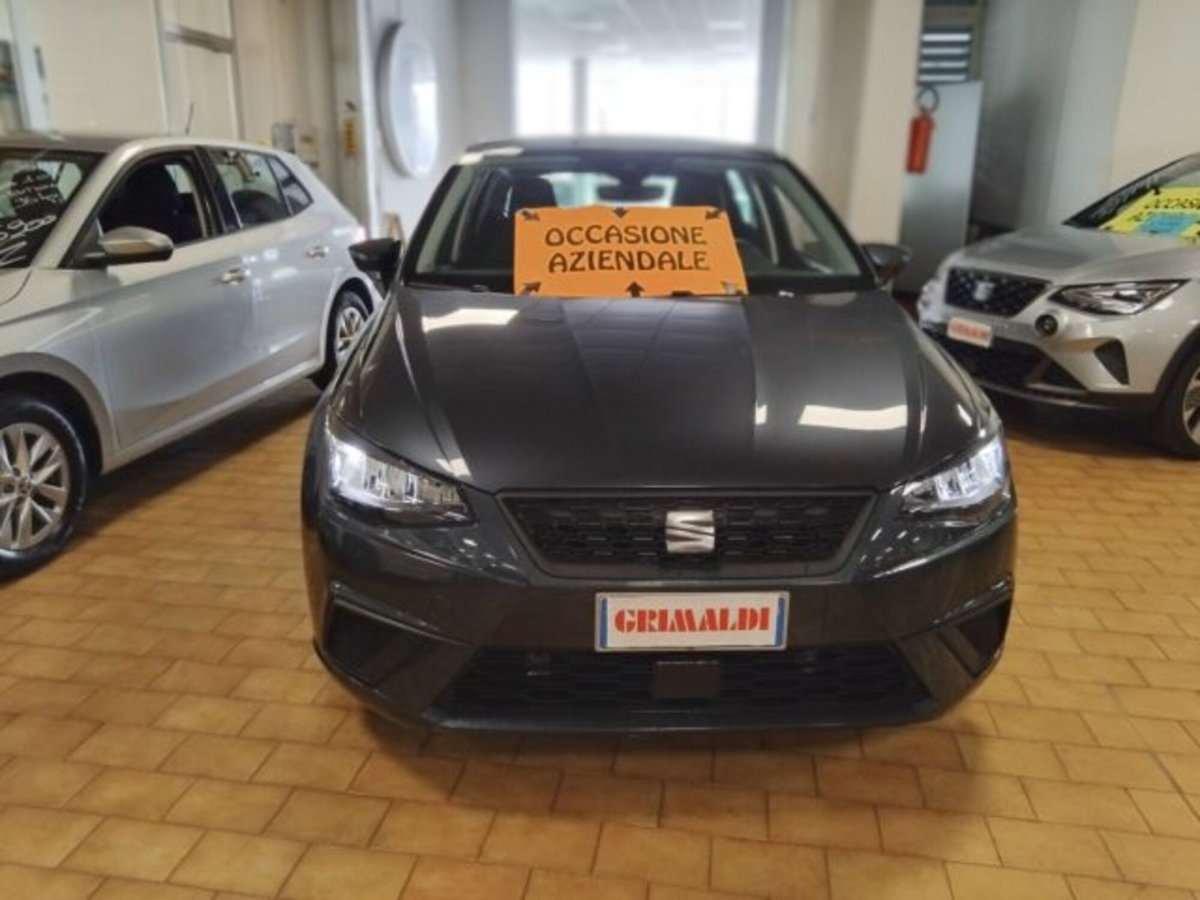 SEAT Ibiza 1.0 EcoTSI 110 CV DSG 5 porte Style (2)