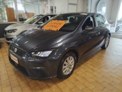 SEAT Ibiza 1.0 EcoTSI 110 CV DSG 5 porte Style (3)