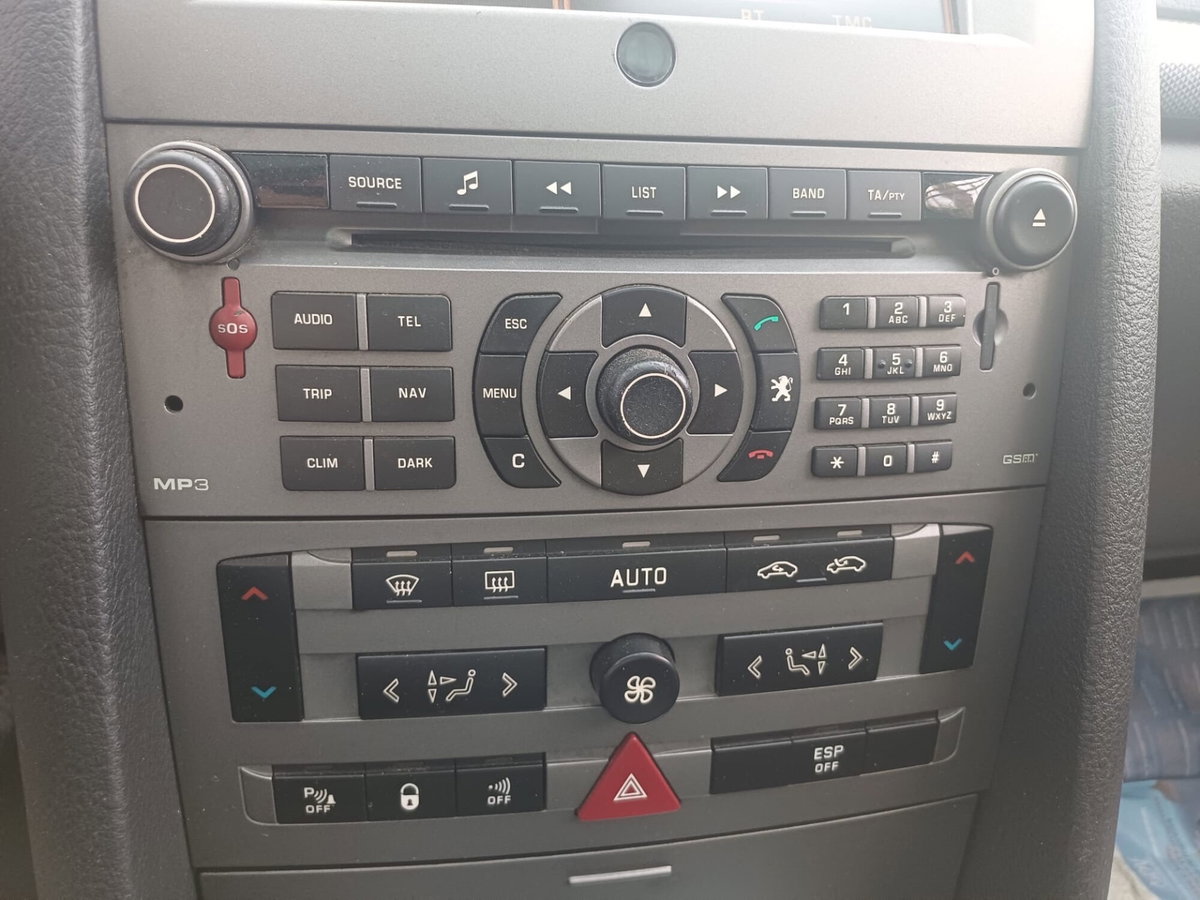 Peugeot 407 SW 2.0 HDi Confort (10)