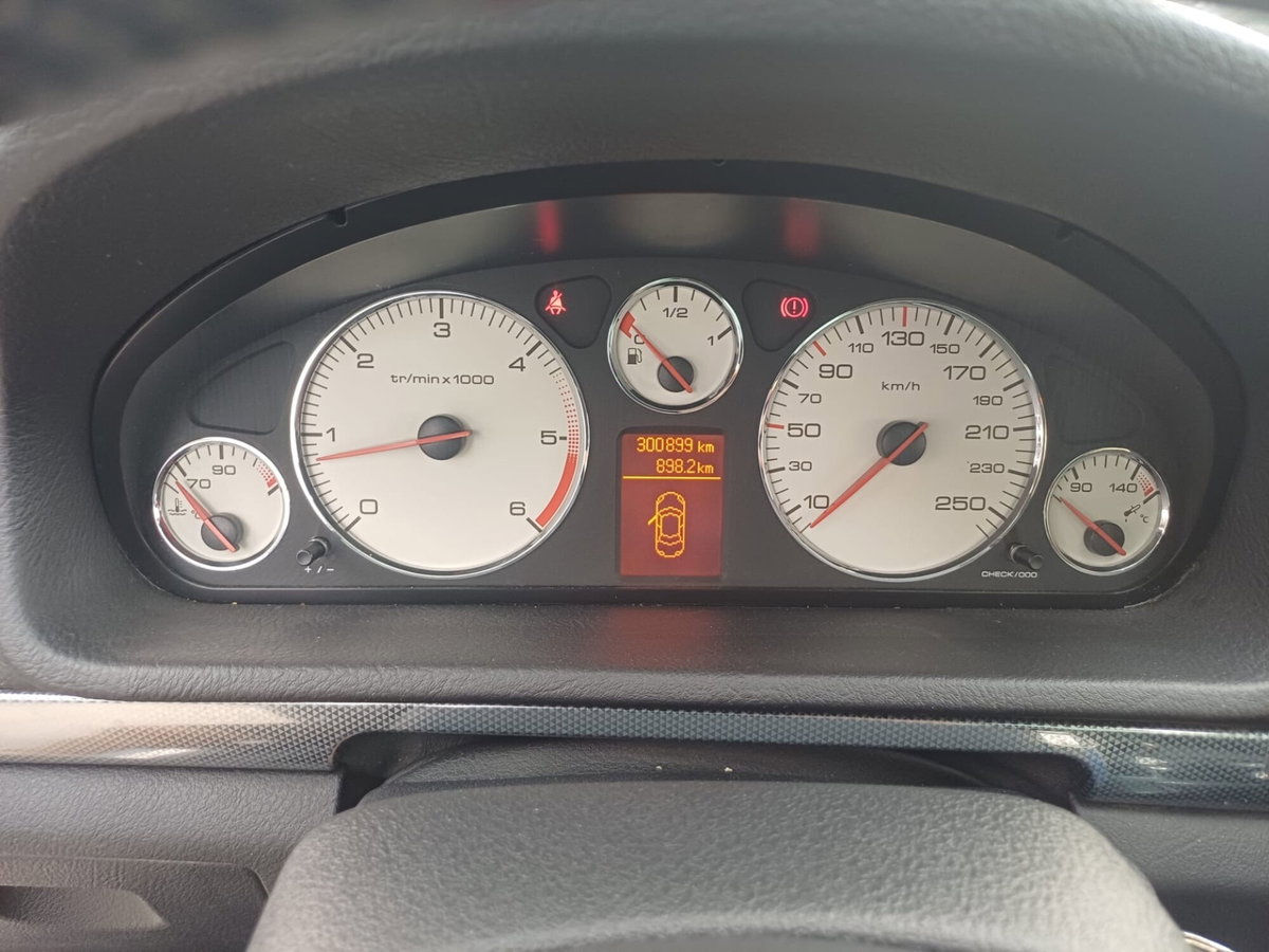Peugeot 407 SW 2.0 HDi Confort (11)