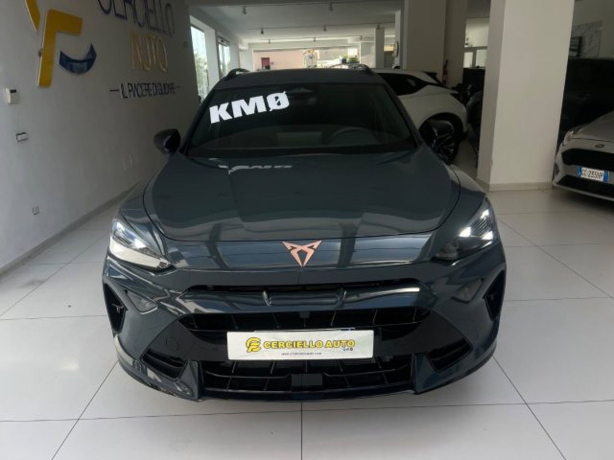 Cupra Formentor Formentor 2.0 TDI (10)