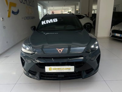 Cupra Formentor Formentor 2.0 TDI (10)
