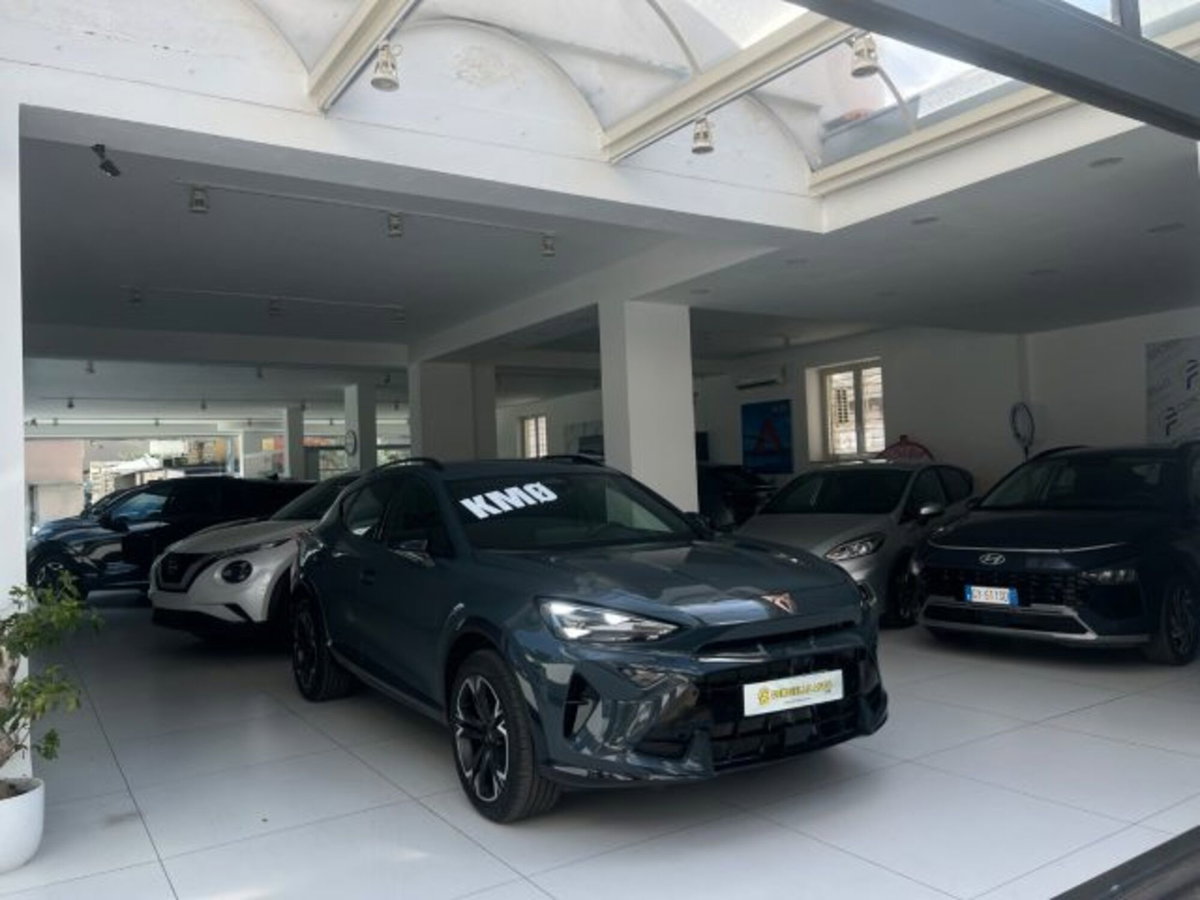 Cupra Formentor Formentor 2.0 TDI (11)