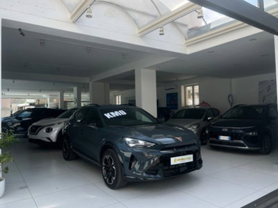 Cupra Formentor Formentor 2.0 TDI (12)