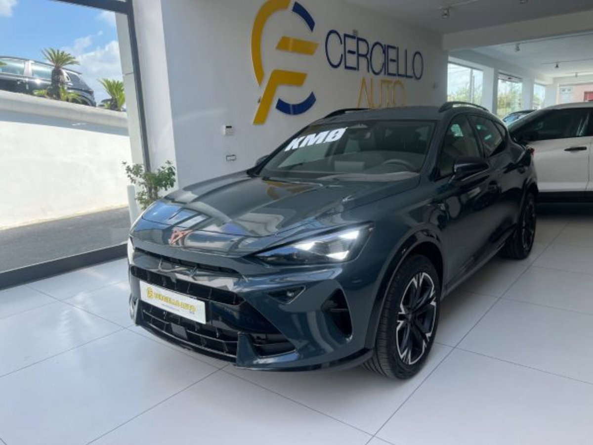 Cupra Formentor Formentor 2.0 TDI (2)