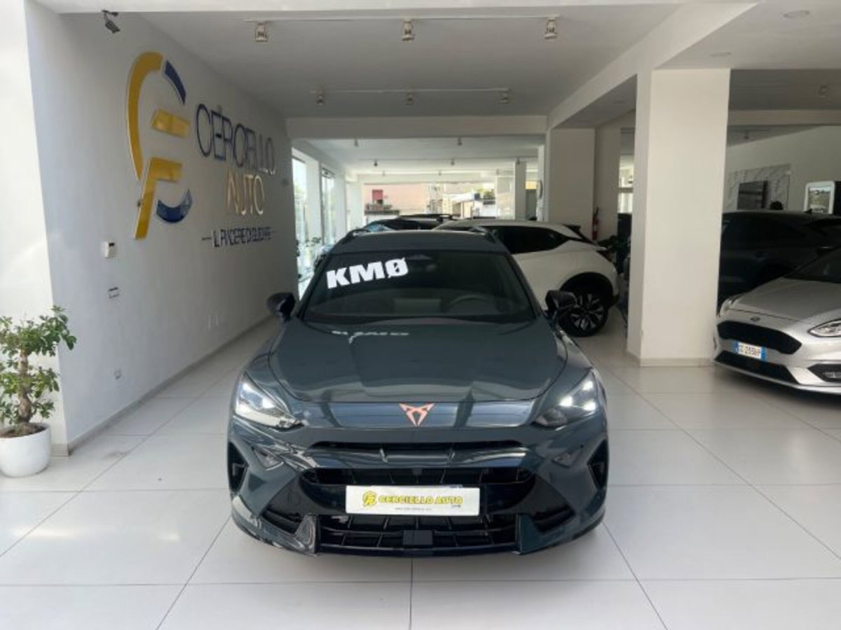 Cupra Formentor Formentor 2.0 TDI (4)