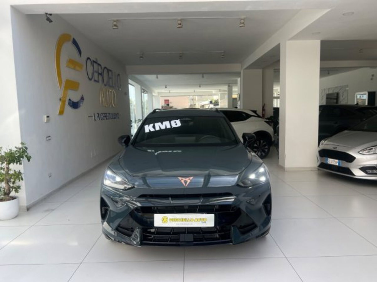 Cupra Formentor Formentor 2.0 TDI (5)