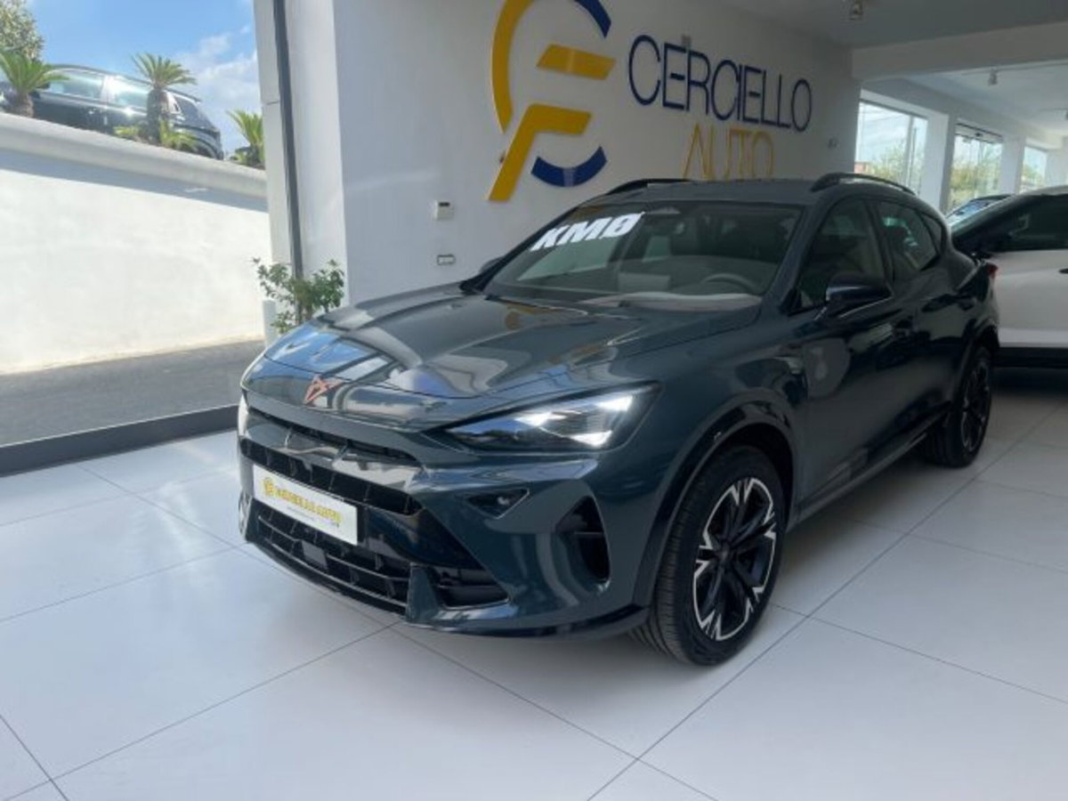 Cupra Formentor Formentor 2.0 TDI (7)