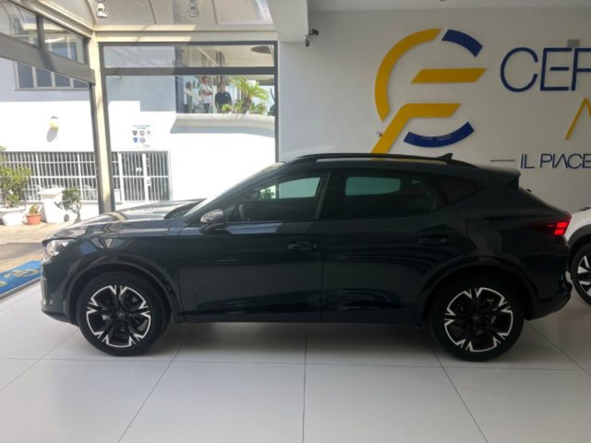 Cupra Formentor Formentor 2.0 TDI (8)