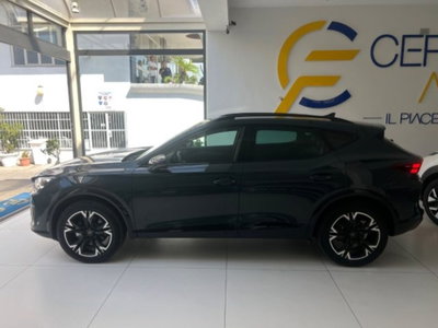 Cupra Formentor Formentor 2.0 TDI (9)