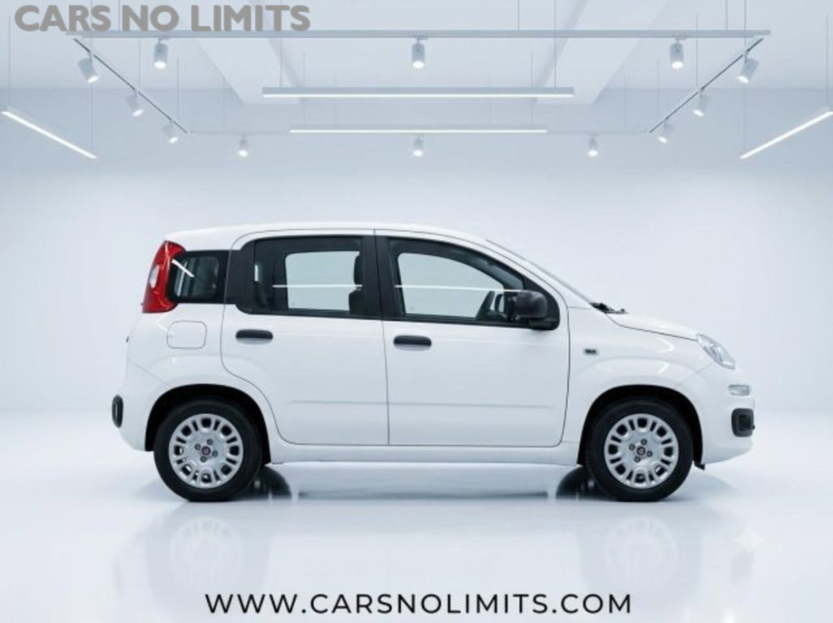 Fiat Panda 1.0 firefly hybrid s&s 70cv (8)