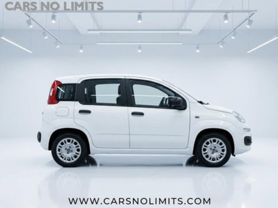 Fiat Panda 1.0 firefly hybrid s&s 70cv (8)