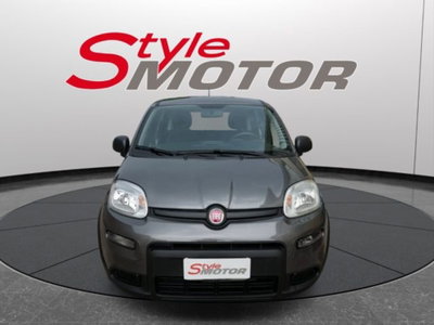 Fiat Panda 1.0 firefly hybrid s&s 70cv 5p.ti usata