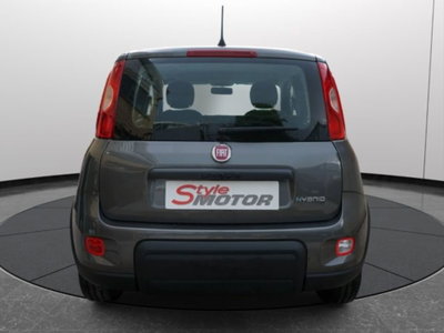 Fiat Panda 1.0 firefly hybrid s&s 70cv 5p.ti (16)
