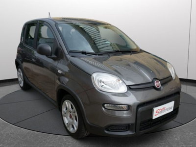 Fiat Panda 1.0 firefly hybrid s&s 70cv 5p.ti (3)