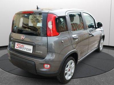 Fiat Panda 1.0 firefly hybrid s&s 70cv 5p.ti (4)
