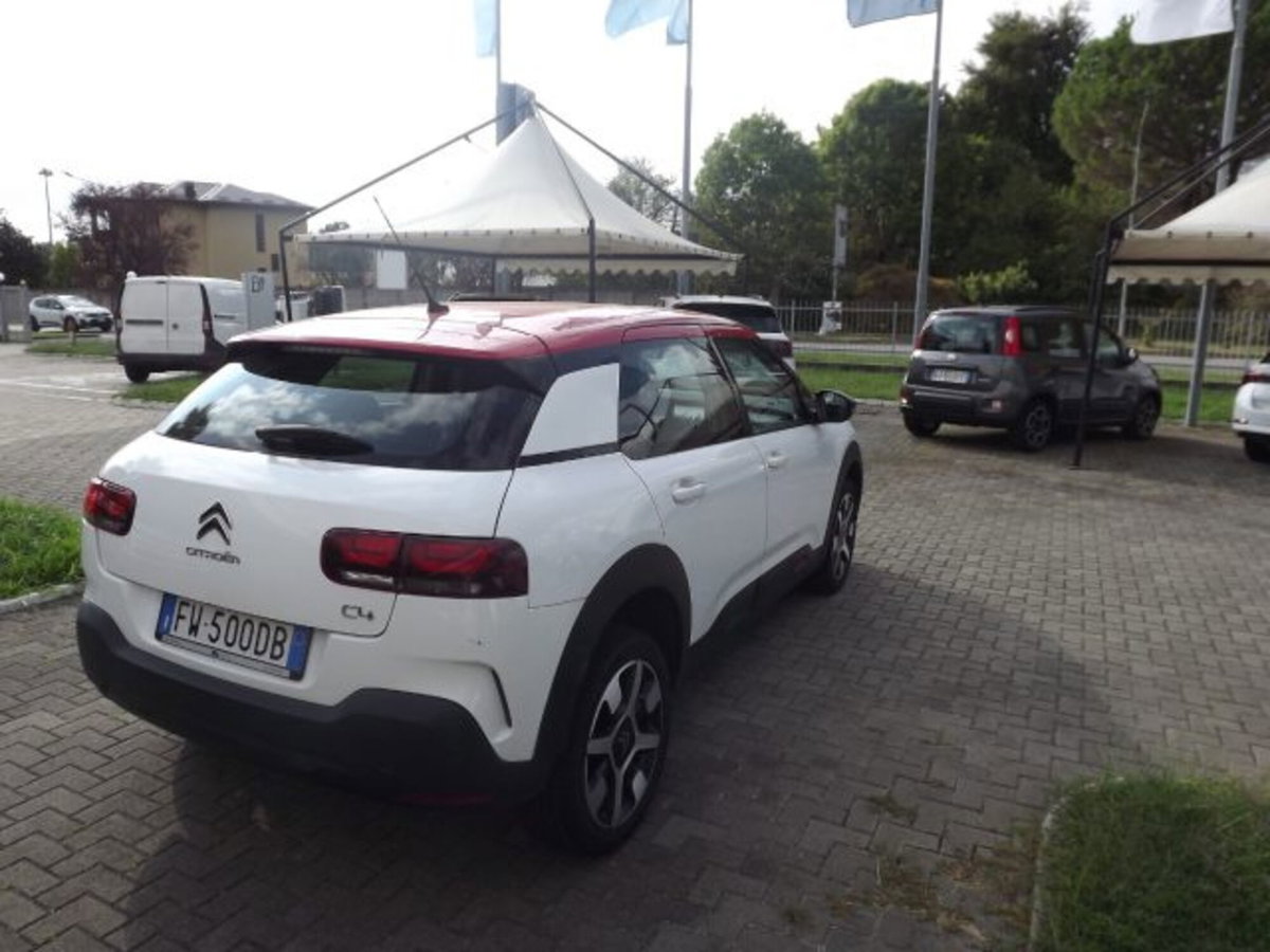 Citroen C4 Cactus BlueHDi 100 S&S Feel (6)