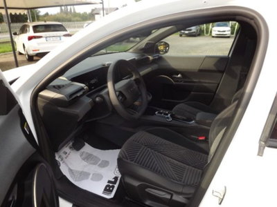 Lancia Ypsilon 1.2 mhev Edizione Cassina e-dct (10)