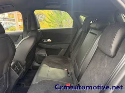 Ds DS 7 1.5 bluehdi Pallas 130cv auto (6)