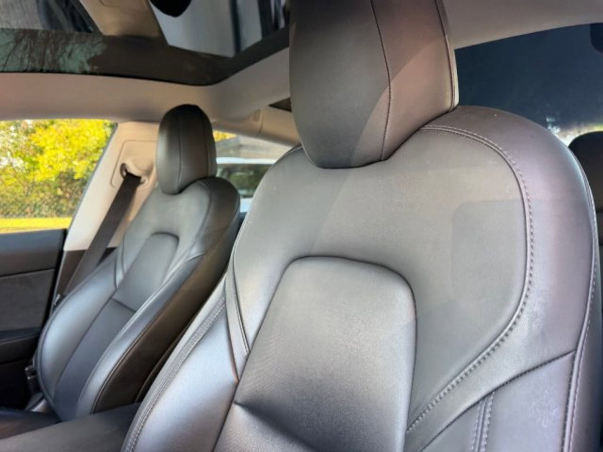 Tesla Model 3 Model 3 Standard RWD Plus (20)