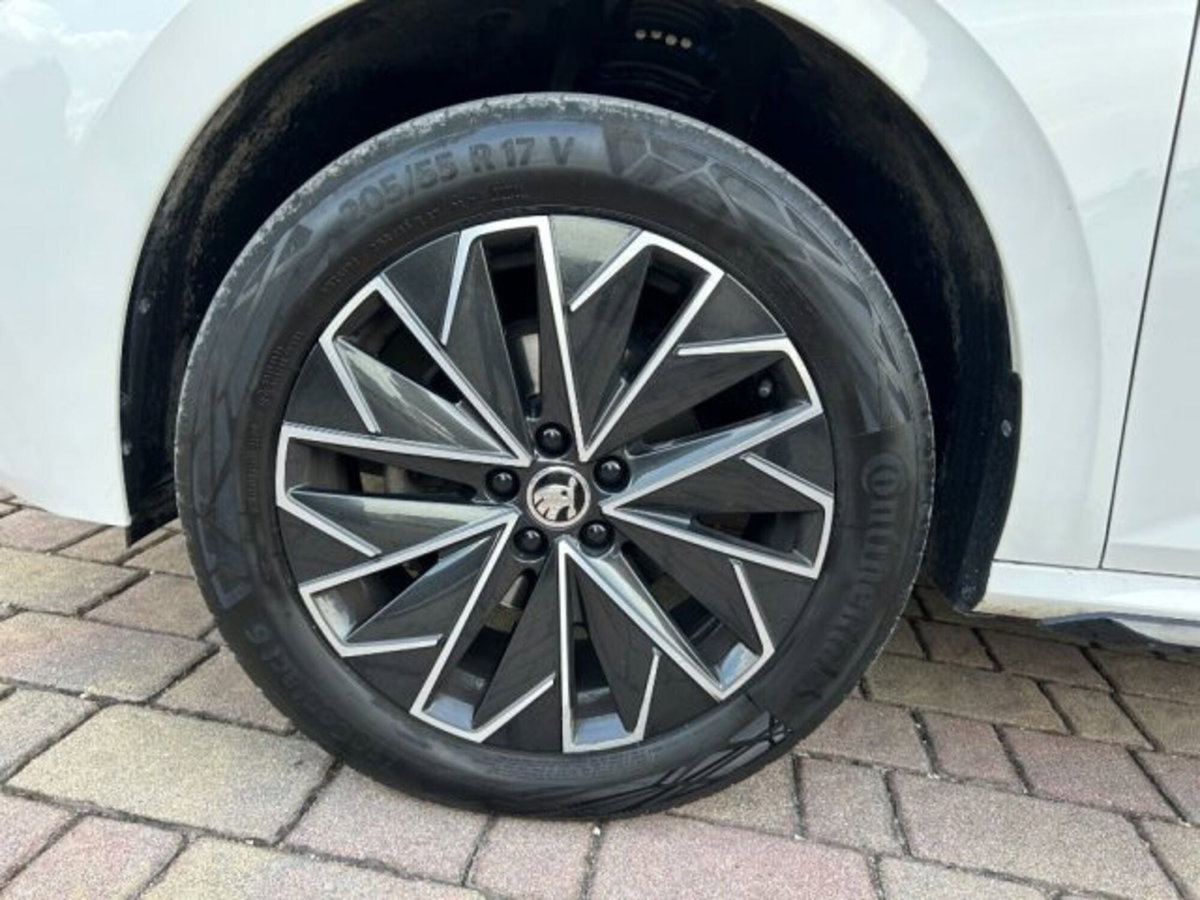 Skoda Kamiq 1.0 G-Tec Monte Carlo (16)